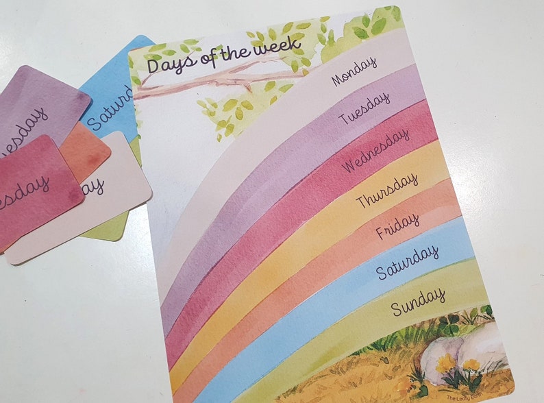 Pu&ograve; includere: Un grafico a colori arcobaleno con i giorni della settimana scritti su ogni striscia colorata. Il grafico &egrave; intitolato "Days of the week".