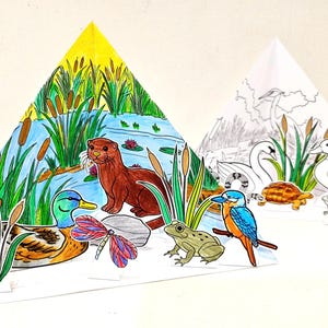 Pond Habitat Coloring Triorama, Wetland Scene, DIY Kids Habitat Crafts, Science Project, Pond Animals, Pond Study Unit, Pond Life Diorama