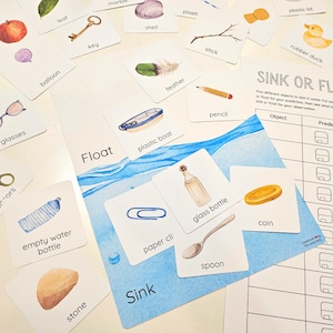 Sink or Float Sorting Game, Prediction and Observation Worksheet ...