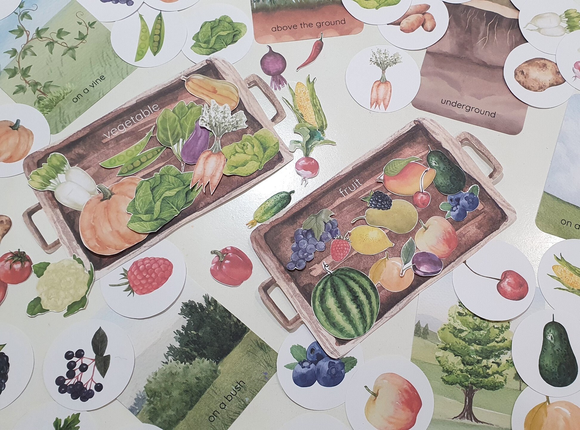 Fruit and Vegetable Sorting Games, Farm Harvest Sorting Games ...