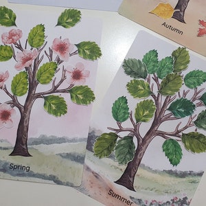 Jahreszeitenbaum, Basteln, Jahreszeitenbaum, Jahreszeitenmatte und Zeichnung, Jahreszeitentabelle für Kinder, Jahreszeitenposter