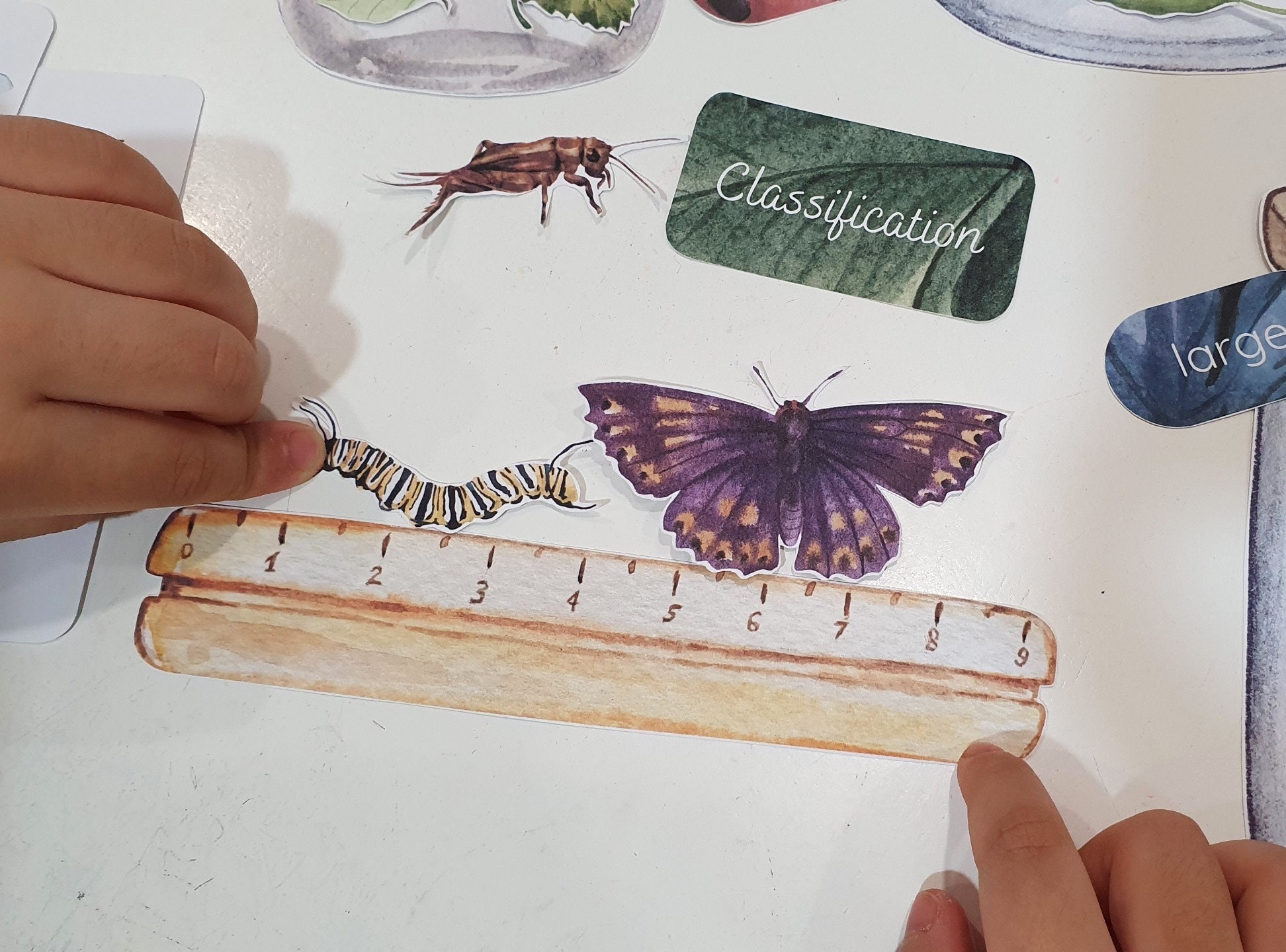 Bug Explorer Dramatic Playset, Entomology Lab Pretend Play, Insect ...