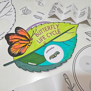 May include: A colorful butterfly life cycle learning activity with a green leaf, a butterfly, a caterpillar, an egg, and a chrysalis. The words "Butterfly Life Cycle" are written in white on the green leaf.