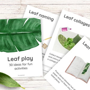 30 idées amusantes pour jouer avec des feuilles, des idées de bricolage, un kit d'activités, des jeux éducatifs, des cartes-éclair Montessori, des activités pour l'école à la maison et la maternelle,