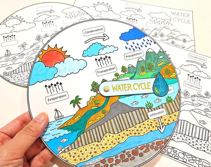 Water Cycle Model Kids Science Activity and Model - Etsy Canada
