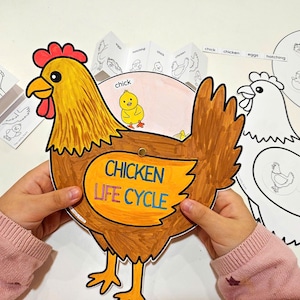 Könnte beinhalten: Ein braunes und gelbes Huhn mit den Worten "Chicken Life Cycle" auf seinem Körper. Das Huhn hält ein kleines gelbes Küken im Schnabel. Um das Huhn herum befinden sich weitere Bilder eines Kükens, Eier und eines schlüpfenden Kükens.
