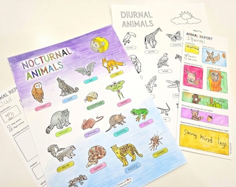 May include: Educational animal charts featuring illustrations of nocturnal and diurnal animals, including an owl, wolf, fox, and squirrel. The charts are colorful and include the text "Nocturnal Animals", "Diurnal Animals", and "Animal Report".