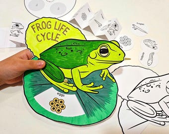 Frog Life Cycle Coloring Activity, Wheel and Foldable, DIY Kids Paper Crafts, Homeschool Science, Frog Study Unit, Frog Paper Crafts