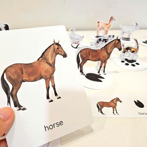 Gioco di abbinamento delle tracce degli animali della fattoria, carte con le tracce degli animali, attività di identificazione delle impronte degli animali della fattoria, giochi educativi, studio degli animali della fattoria