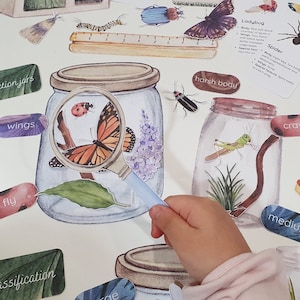 Bug Explorer Dramatic Playset, Entomology Lab Pretend Play, Insect Activity Unit, Bug Flashcards, Bug Sorting Activity, Summer Nature Study