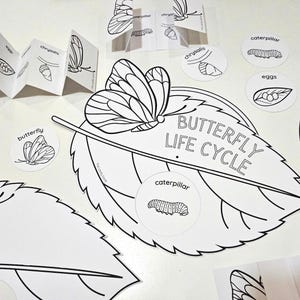 May include: Black and white printable butterfly life cycle activity with a butterfly, caterpillar, chrysalis, and eggs. The activity includes a leaf with the words "Butterfly Life Cycle" and separate circles with the different stages of the butterfly life cycle.