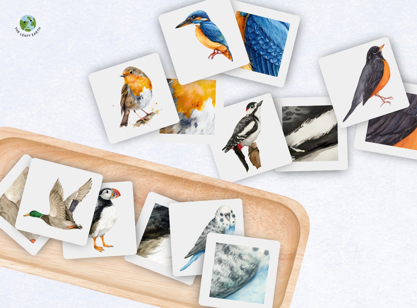 Bird Pattern Matching Game, Printable Games, Toddler Matching, Nature Education, Homeschool Learning, Science Activity, Nature Flashcards