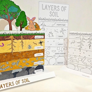 Peut inclure: Une illustration colorée des couches du sol. Les couches sont étiquetées : couche organique, terre végétale, sous-sol, matériau parental et roche mère. L'illustration comprend un arbre, un lapin et divers insectes.