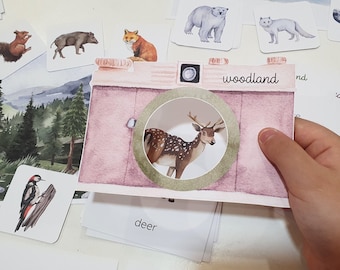 May include: A pink watercolour camera card featuring a deer illustration, labelled "woodland." Animal cards with illustrations of a squirrel, fox, and bear are visible. The word "deer" is also visible on a card.