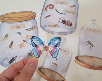 Insect Jar Sorting Games, Insect Size Match, Flying or Crawling Bug, Montessori Insect Activity, Preschool Math Activity, Nature Study Games