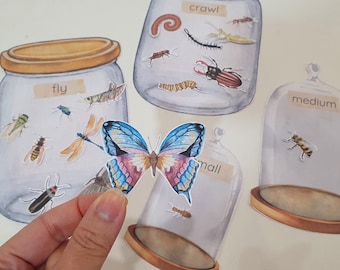 Insect Jar Sorting Games, Insect Size Match, Flying or Crawling Bug, Montessori Insect Activity, Preschool Math Activity, Nature Study Games