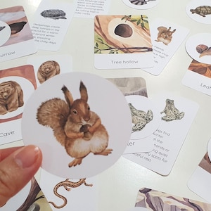 Jeu d'association de maisons d'animaux en hiver, Mini étude sur l'hibernation, Cartes d'animaux endormis, Cartes-éclair d'animaux des bois, Jeu éducatif, Étude de la nature