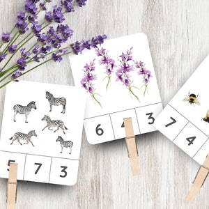 20 Count and Clip Cards, Number Peg Cards, Preschool Activity, Numbers for Toddlers, Printable Flashcards, Counting games, Nature Study