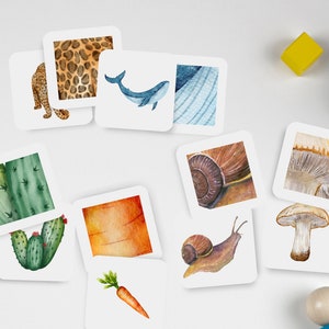 Jeu d'association de motifs naturels, Jeux à imprimer, Agencement pour tout-petits, Éducation à la nature, Enseignement à la maison, Activité scientifique, Cartes-éclair sur la nature
