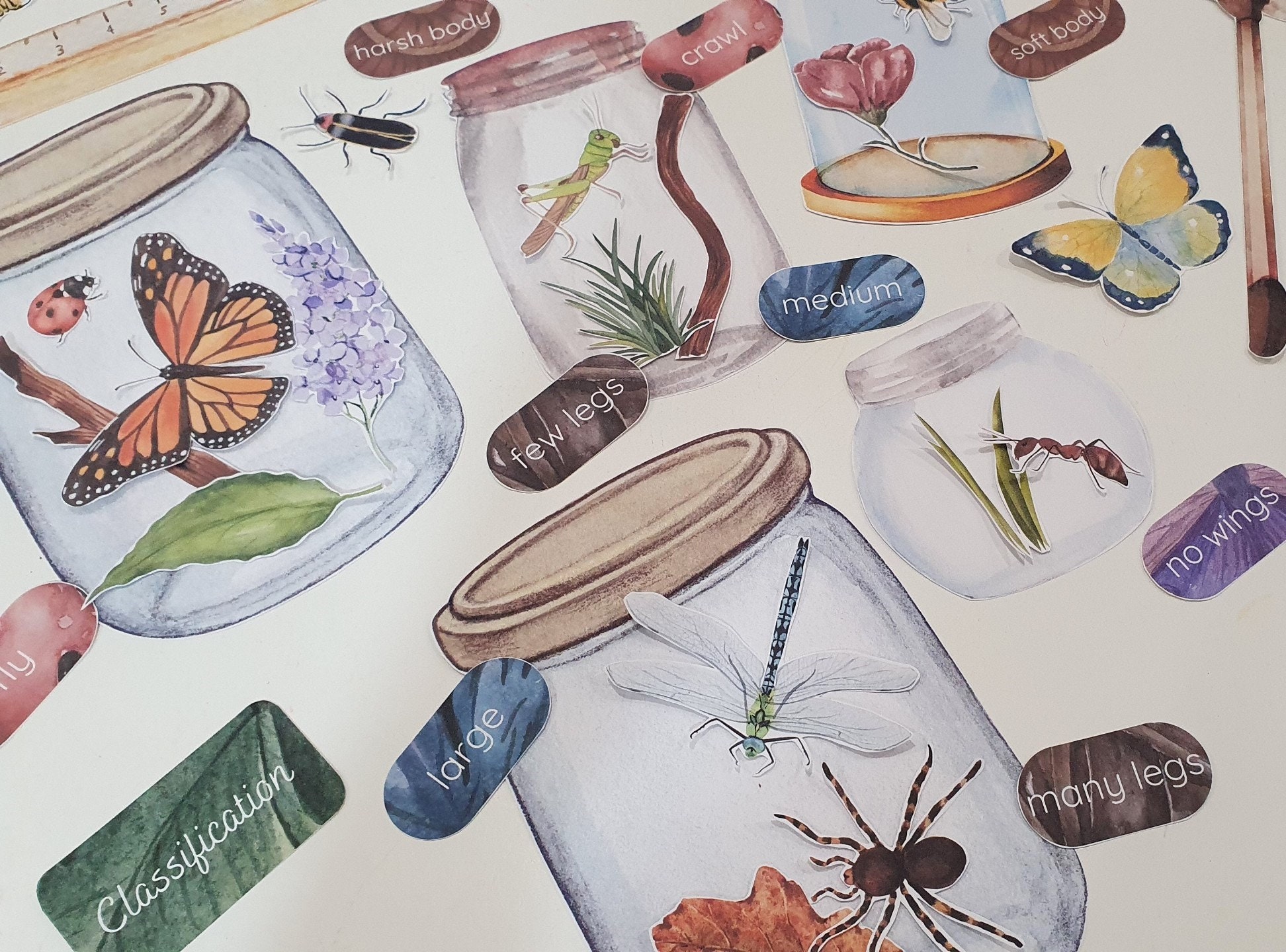 Bug Explorer Dramatic Playset, Entomology Lab Pretend Play, Insect ...