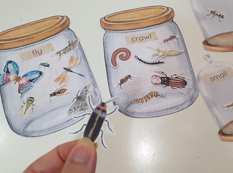 Sorting Insects Eyfs Insect Jar Sorting Games, Insect Size Match, Flying or Crawling Bug ...