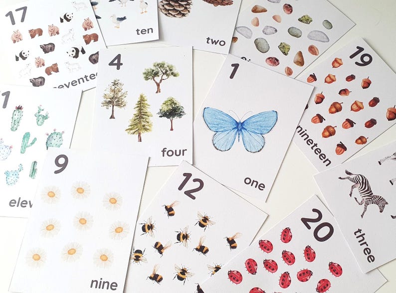 Nature Number Flashcards 1-20, Preschool Printables, Homeschool Resources, Montessori Flashcards, Educational, Classroom, Number Flashcards image 1