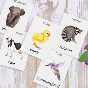 28 dierengeluid flashcards, bewegingsactiviteit, actiekaarten, kringtijd, educatieve kleuterschool, kalmerende activiteit, montessori-flashkaarten