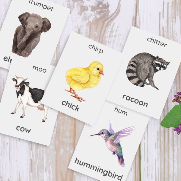 28 Animal Sound Flashcards, Movement Activity, Action Cards, Circle Time, Educational Preschool, Calm Down Activity, Montessori Flashcards