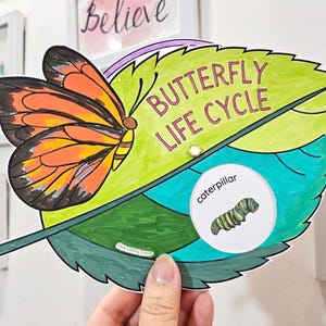 Butterfly Life Cycle Coloring Activity, Wheel and Foldable, Caterpillar, DIY Kids Paper Crafts, Homeschool Science, Butterfly Study Unit