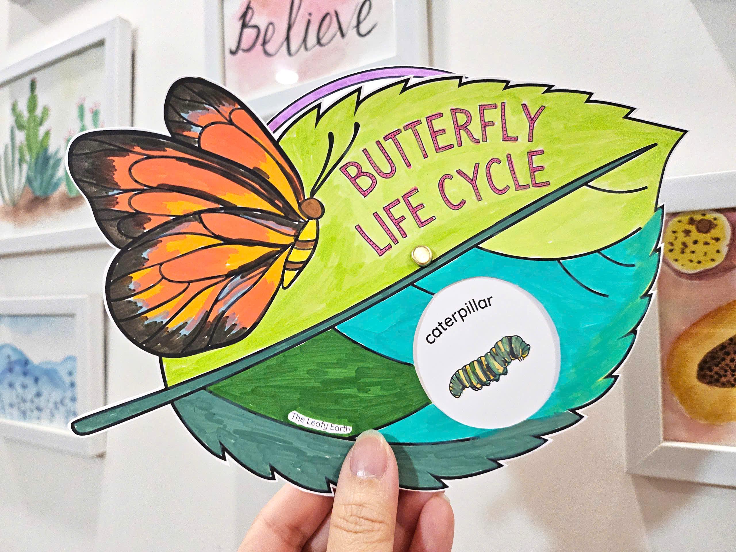 Butterfly Life Cycle Coloring Activity, Wheel and Foldable, Caterpillar, DIY Kids Paper Crafts, Homeschool Science, Butterfly Study Unit
