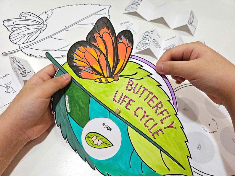 May include: A colorful paper craft depicting the butterfly life cycle. The craft features a butterfly, eggs, a caterpillar, a chrysalis, and the words "Butterfly Life Cycle".