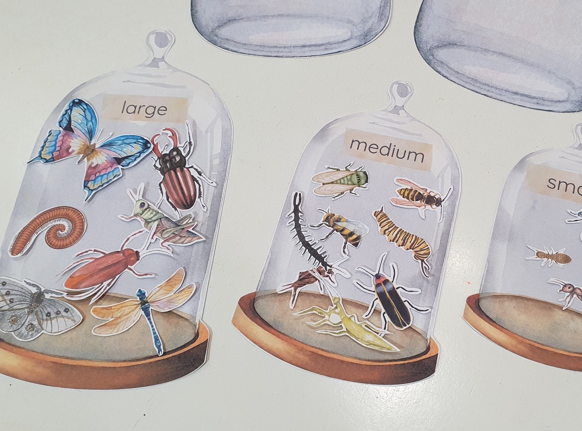 Sorting Plastic Insects Insect Jar Sorting Games, Insect Size Match, Flying or Crawling Bug ...