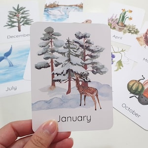 Schede dei mesi dell'anno, Schede didattiche stagionali sulla natura, Schede del cestino mattutino per i più piccoli, Attività di homeschooling per bambini in età prescolare, Schede per la scuola materna Montessori