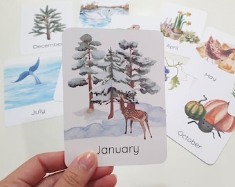 Cartes du mois de l'année, Cartes-éclair saisonniers nature, Cartes panier du matin pour tout-petits, Activités pour l'école maternelle à la maison, Cartes Montessori pour préscolaire