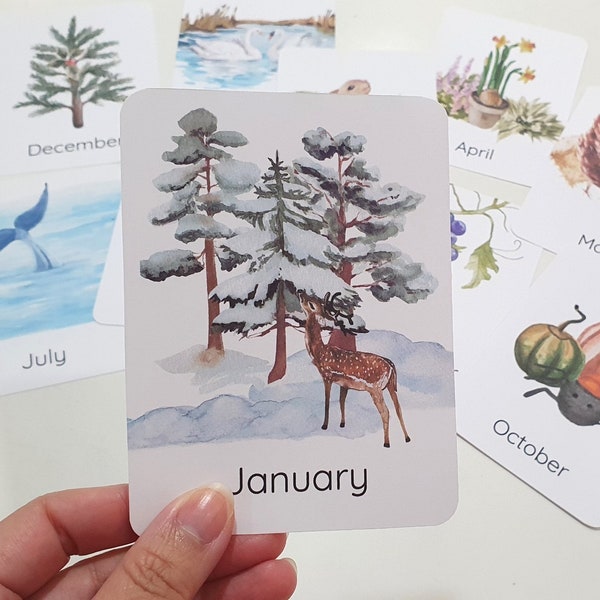 Månadskort för året, Naturkort och säsongskort, Morgonkort för småbarn, Hemundervisningsaktiviteter för förskoleklass, Montessorikort för förskoleklass