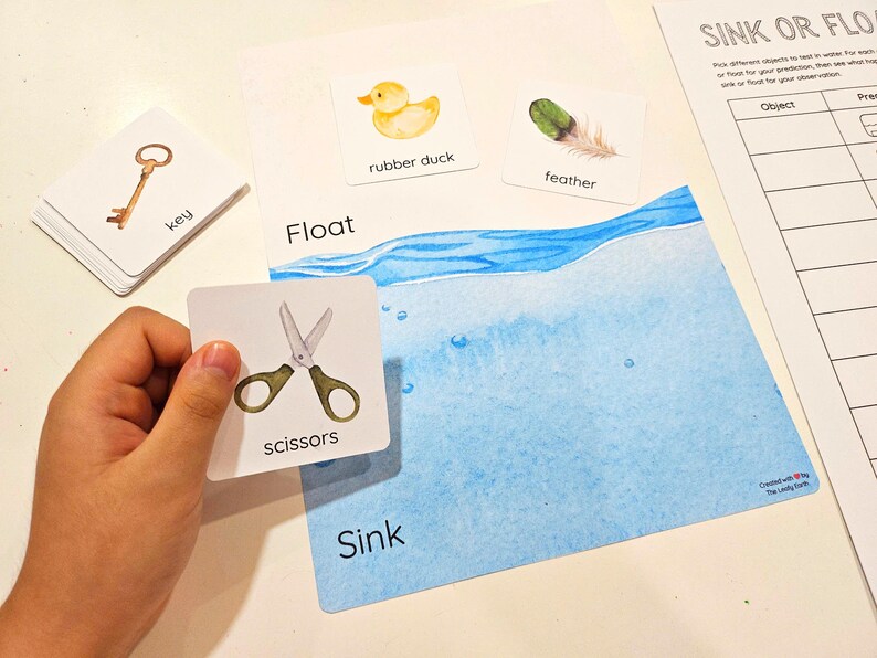 Sink or Float Sorting Game, Prediction and Observation Worksheet ...