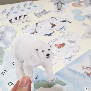 Pacote de atividades com animais polares, unidade Ártico e Antártida, jogo de tabuleiro Penguin, atividades de cesta matinal Montessori de inverno, ciclo de vida do Penguin
