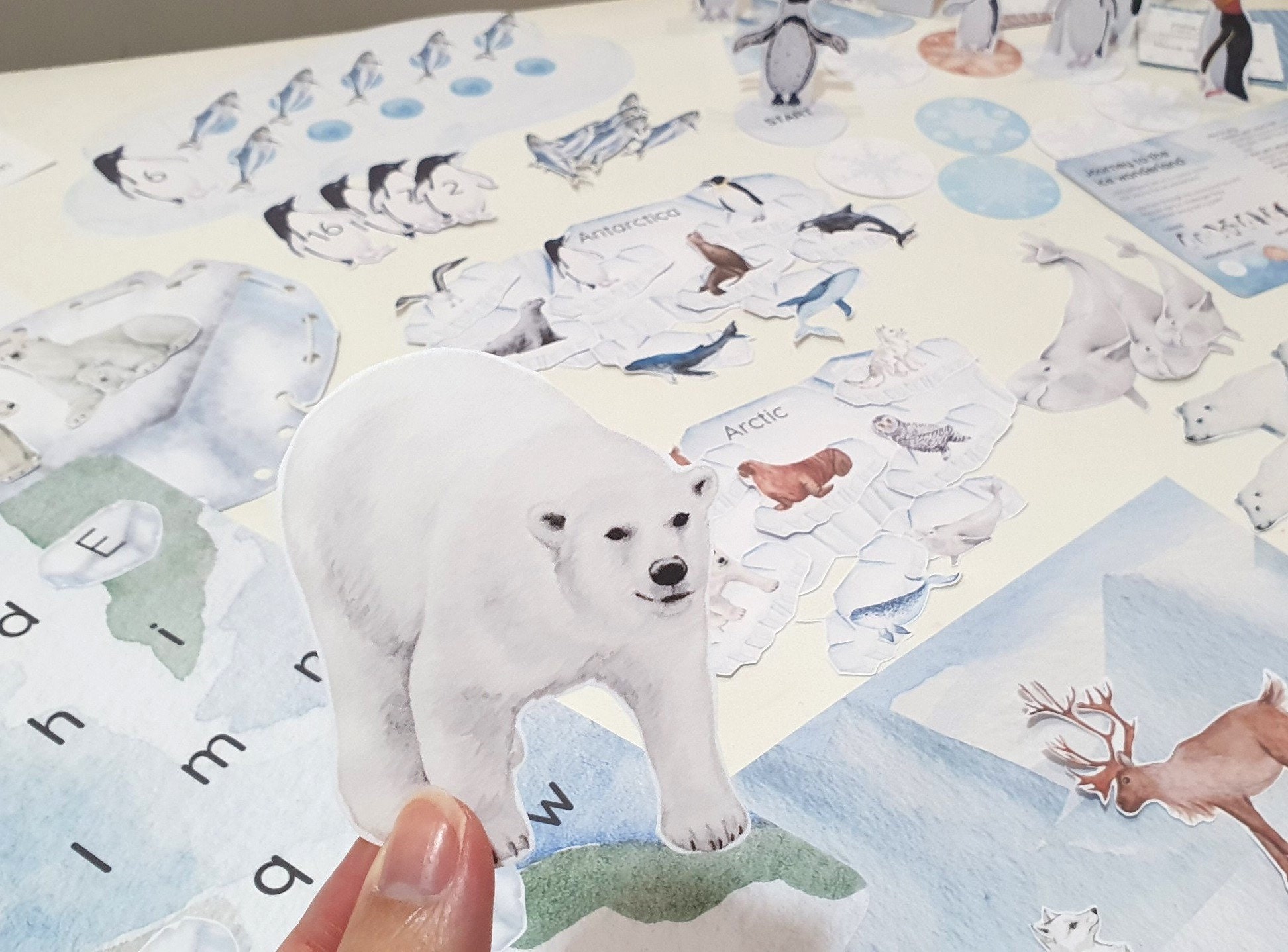 Polar Animals Activity Pack, Arctic and Antarctica Unit, Penguin Board Game, Winter Montessori Morning Basket Activities, Penguin Life Cycle