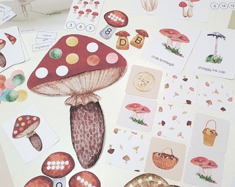 Mushroom Activity Pack, Mushroom Flashcards, Montessori Autumn Activities, Mushroom Counting, Color Pattern Game, Mushroom Anatomy Poster