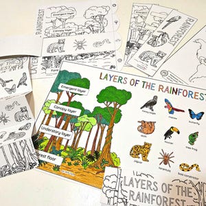Schichten des Regenwaldes Poster, Flipbook, faltbare Karte, Wald Karte, Lesezeichen, Schreiben und Basteln, Kids Science Colouring, Regenwald Schichten