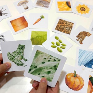 Puede incluir: Una colección de tarjetas educativas cuadradas con ilustraciones en acuarela de diversos temas, incluyendo una rana verde, una calabaza, una zanahoria, un girasol, un leopardo, un hongo y patrones abstractos en varios colores.