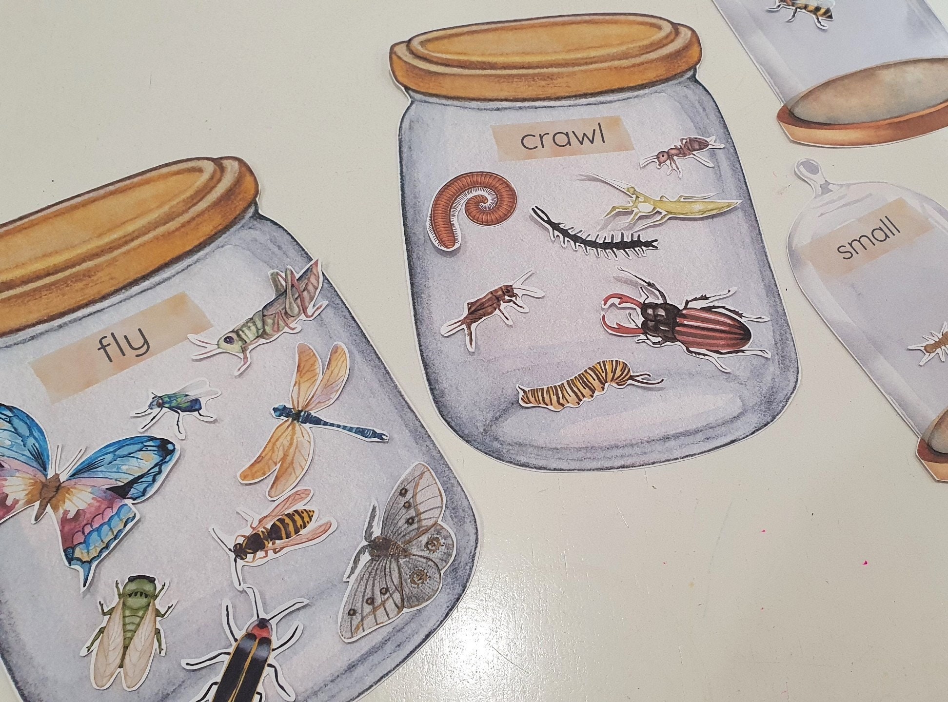 Bug Sorting Game Math Insect Jar Sorting Games, Insect Size Match, Flying or Crawling Bug ...