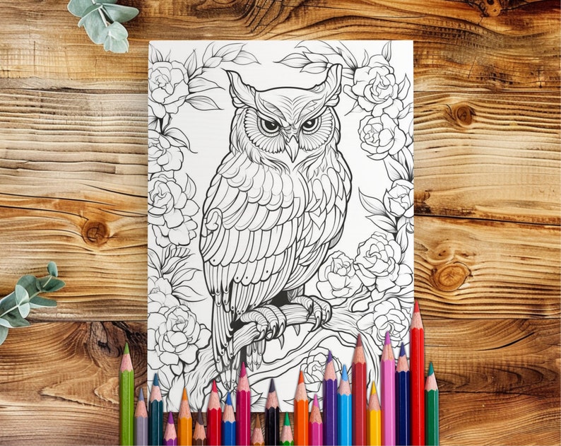 以下が含まれることがあります： 花と葉がついた枝に止まっているフクロウの白黒の線画です。フクロウは大きく丸い目と細かい羽根を持っています。この塗り絵は、詳細なイラストが好きな大人と子供に最適です。