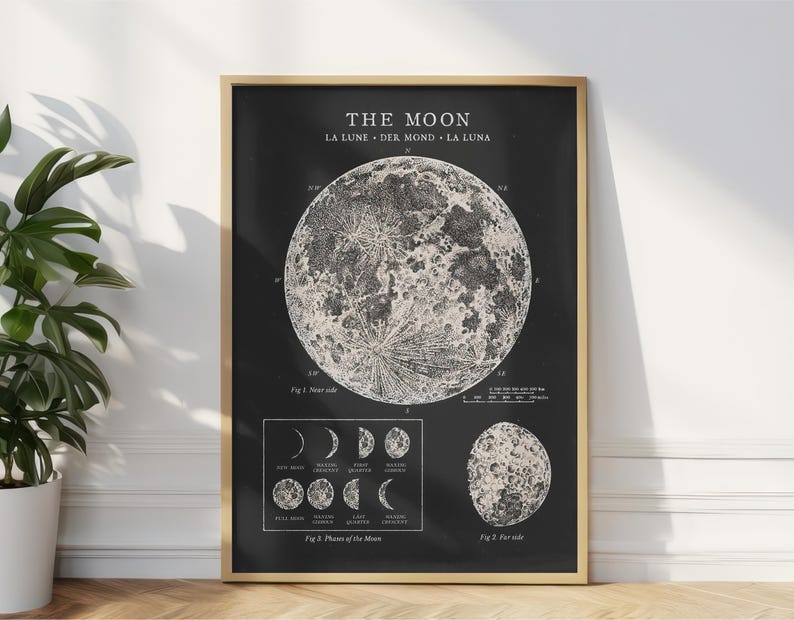 May include: A black and white vintage illustration of the moon with the text "THE MOON" and "LA LUNE - DER MOND - LA LUNA" at the top. The illustration shows the phases of the moon and the near and far sides of the moon.