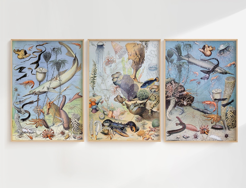 Peut inclure: Trois illustrations vintage de la vie marine sur un fond bleu clair. La premi&egrave;re illustration repr&eacute;sente une raie, un hippocampe et une &eacute;toile de mer. La deuxi&egrave;me illustration repr&eacute;sente un homard, une m&eacute;duse et une &eacute;ponge de mer. La troisi&egrave;me illustration repr&eacute;sente une raie, un hippocampe et une &eacute;toile de mer.