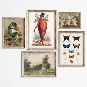 May include: Five framed vintage illustrations, each with a different subject. The top left image shows a green frog playing a violin. The top right image shows a red carrot with a top hat and a mustache. The bottom left image shows a landscape painting. The bottom right image shows a collection of butterflies. The center image shows a group of people sitting at a table.