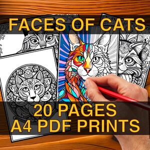 Faces of Cats - 20 pages on cats for coloring