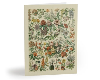 Wildflower Floral Flower Identification Chart Fleurs II by Adolphe Millot Blank Greeting Cards