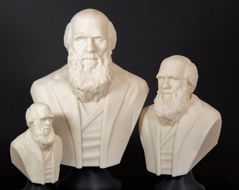 Charles Darwin - The Biologist; Bust Statue, Bookish Decor, Library Decor, Science Teacher Gift