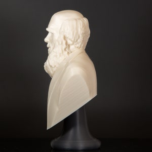 Charles Darwin The Biologist Bust Statue, Bookish Decor, Library Decor, Science Teacher Gift image 6